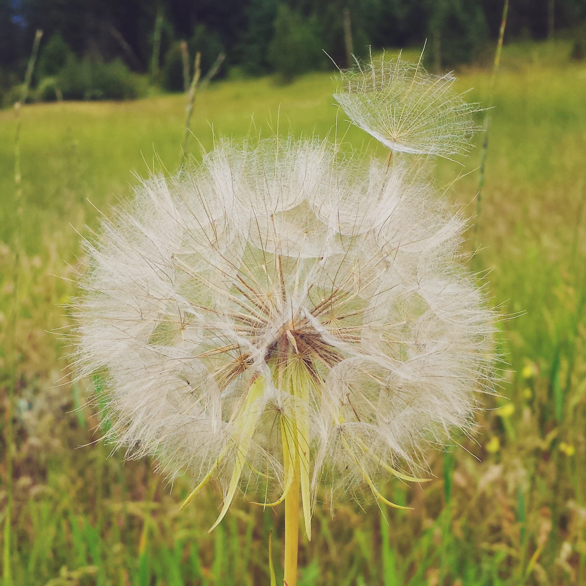 Don’t just wish, make a plan