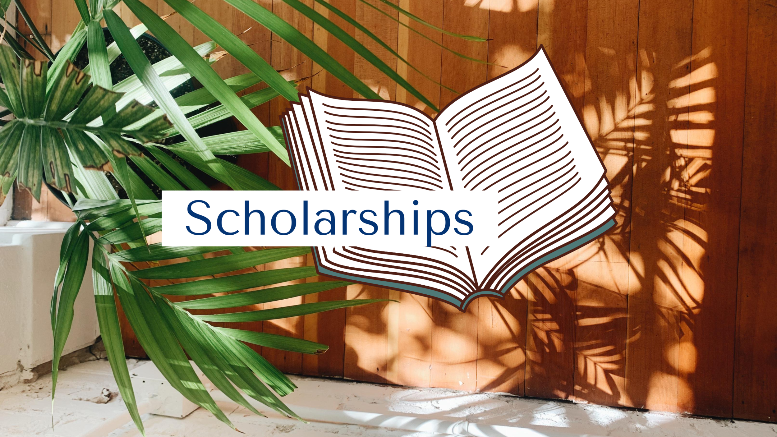 Jlv Counseling Scholarships3