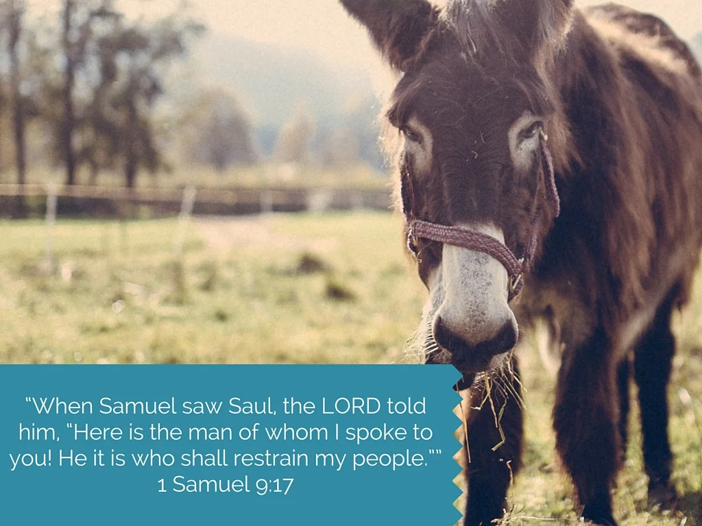 1Sam.9.17.jpg