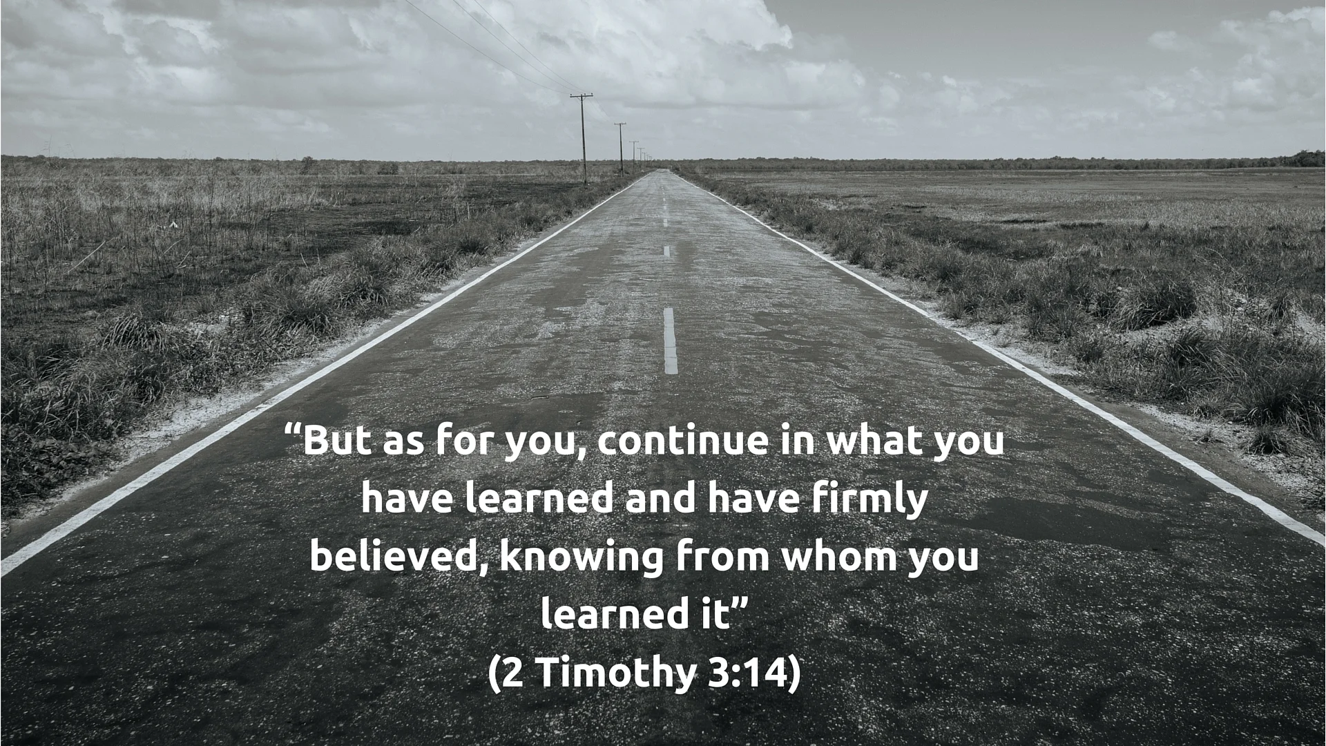 2tim3.14.jpg