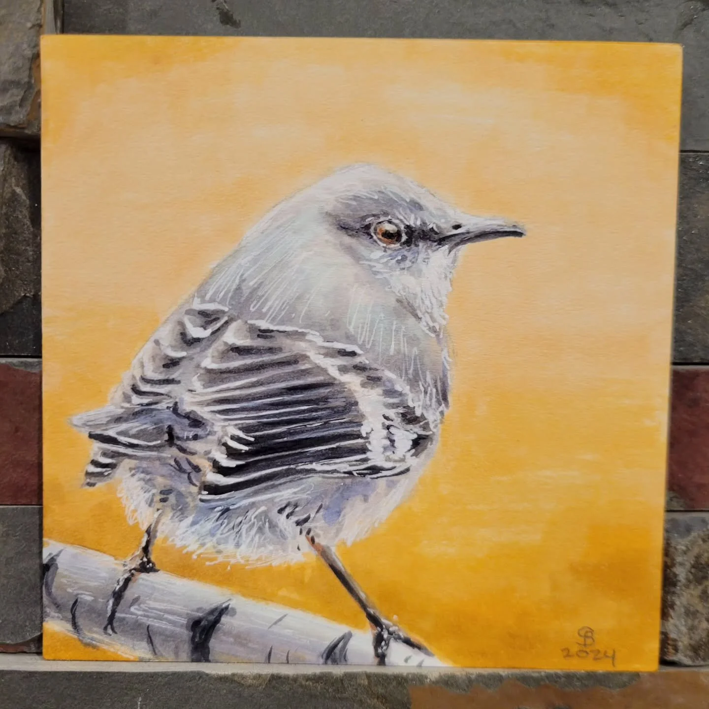 Birdtober 2024 Day Five - Northern Mockingbird

A new one! I drew this one on my flight back from Breckenridge, CO today. Very uncomfortable drawing on flights, but I think I made it work. I did it nice and small at 4&quot; x 4&quot;. This one made m