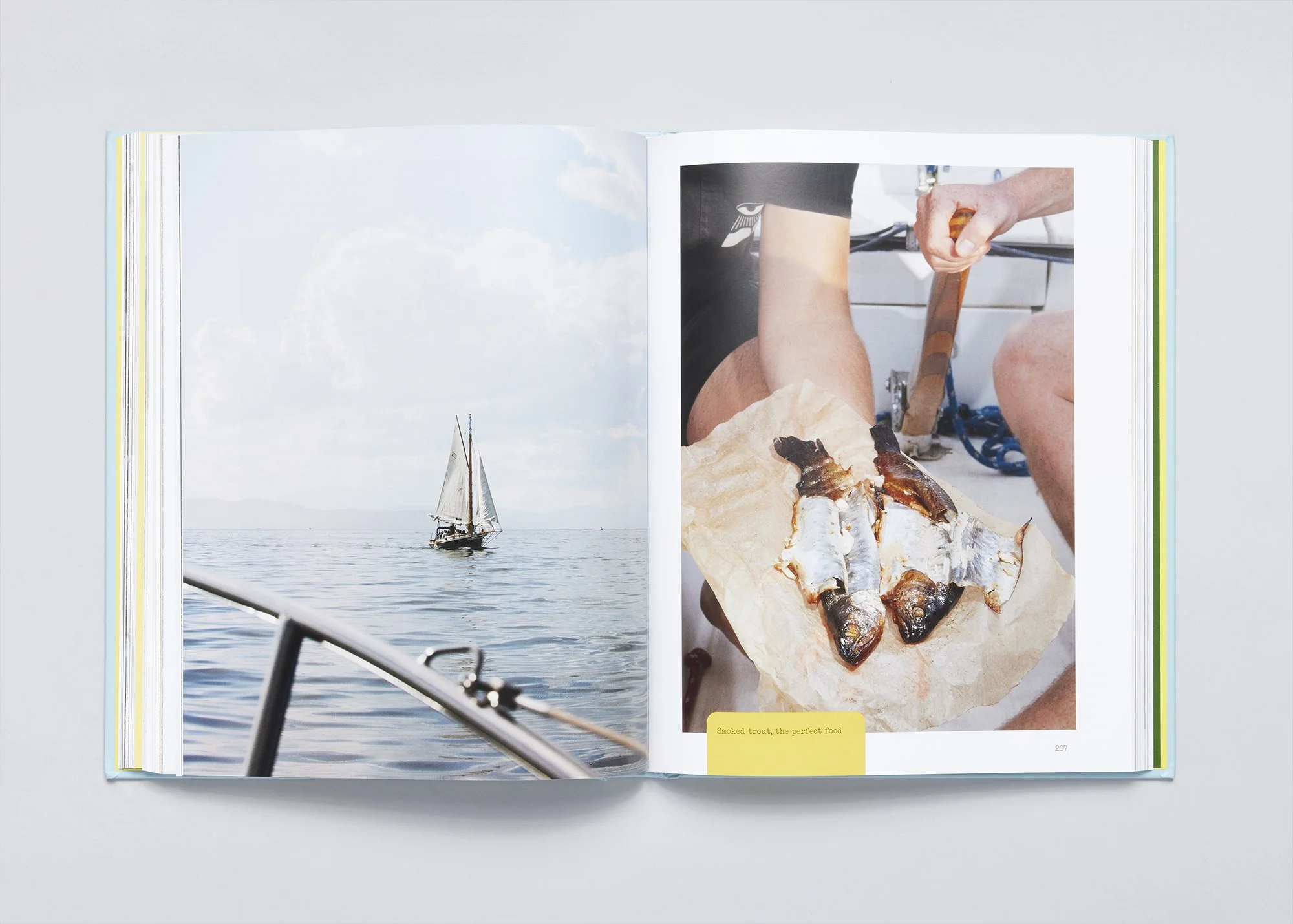 saiboatspread1trout copy.jpg