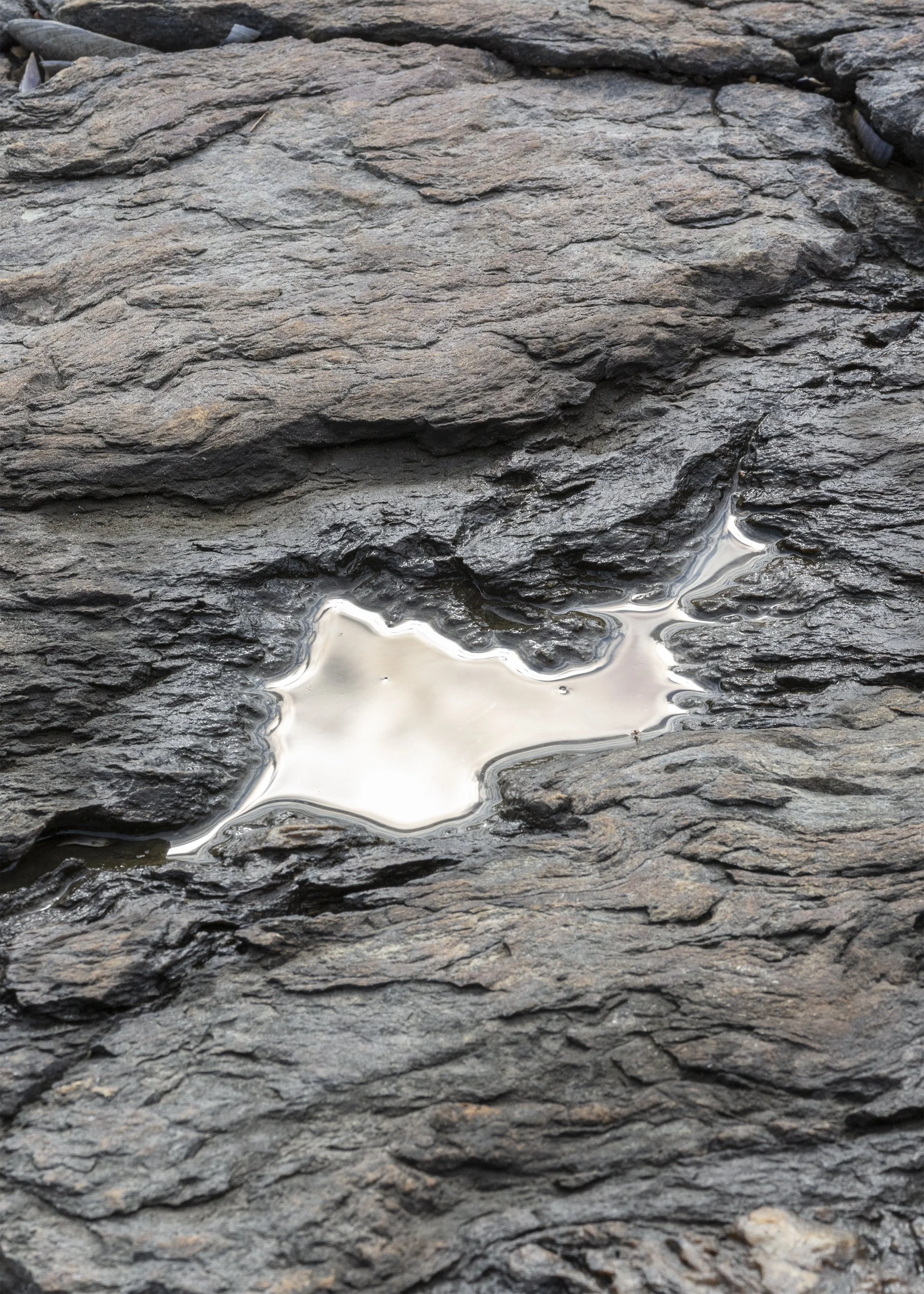 chromepuddlevert1 copy.jpg