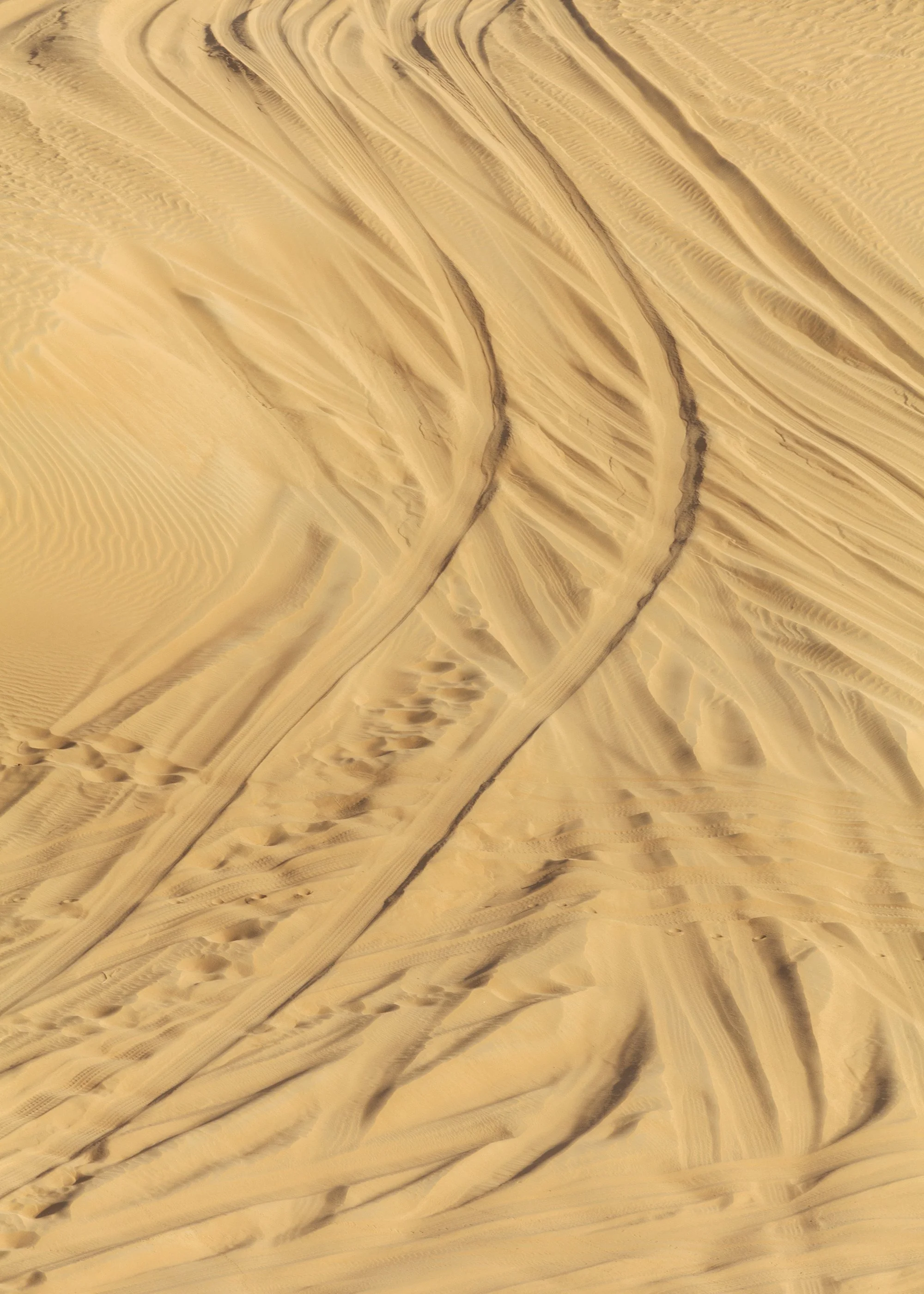 dunetracks1sized.jpg