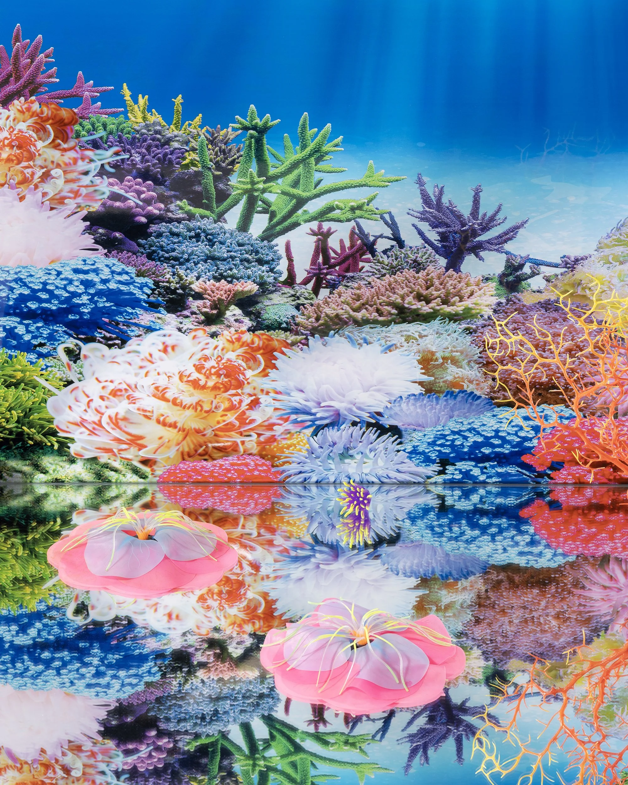 blueverticalfishbarn3pic2.jpg