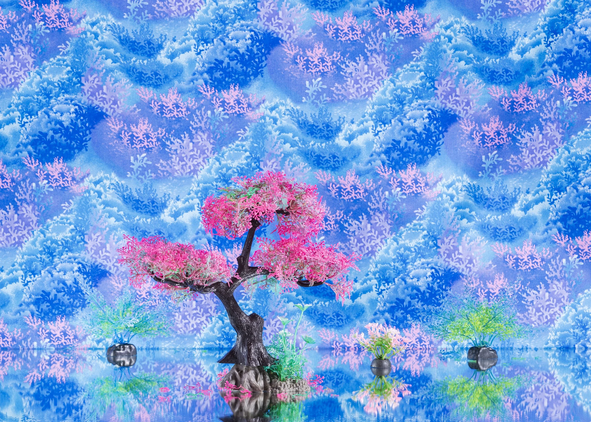 cottoncandy5x7fishbarn1.jpg