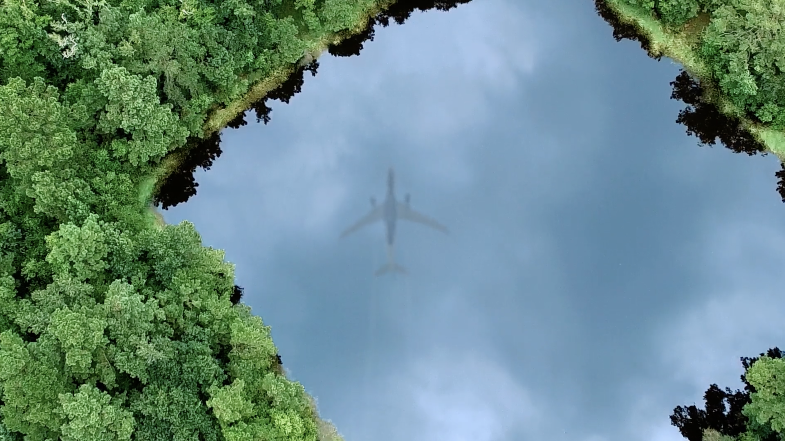 Screen Shot 2019-05-14 at 4.42.12 PM.png