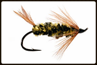 KRL brindle bug.jpg