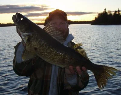 eli_walleye.jpeg
