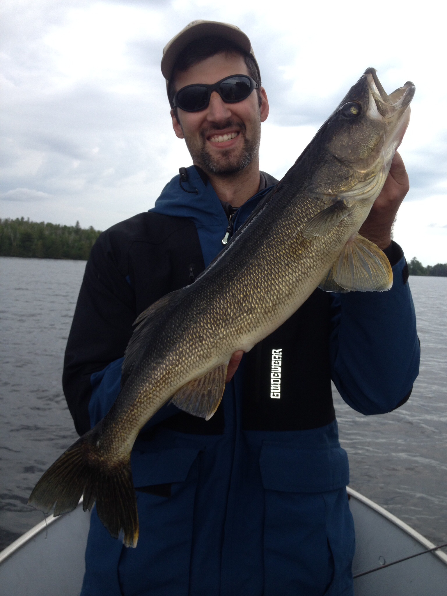 Basswood Lake 30 inch Walleye