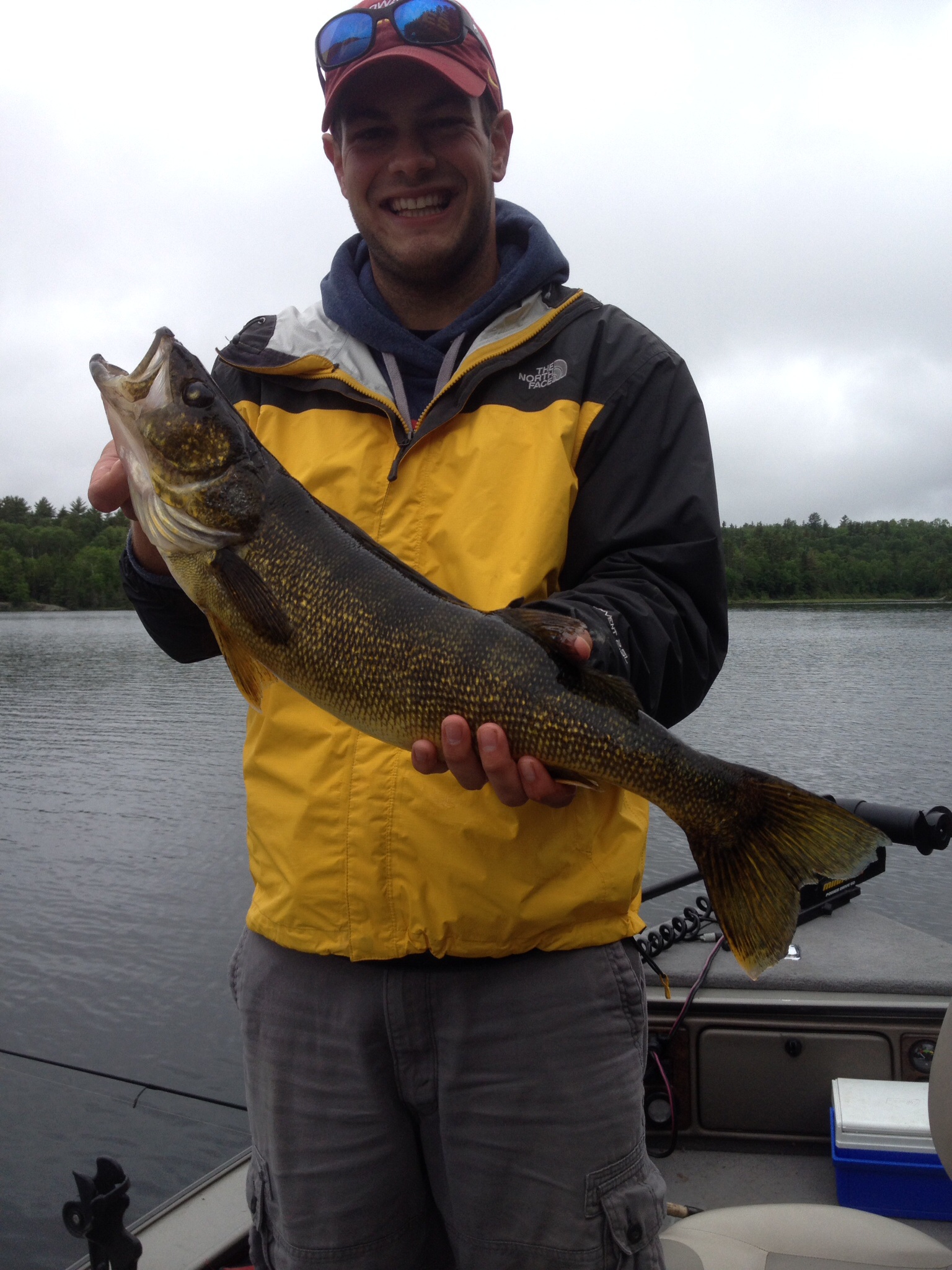 White Iron Lake Walleye