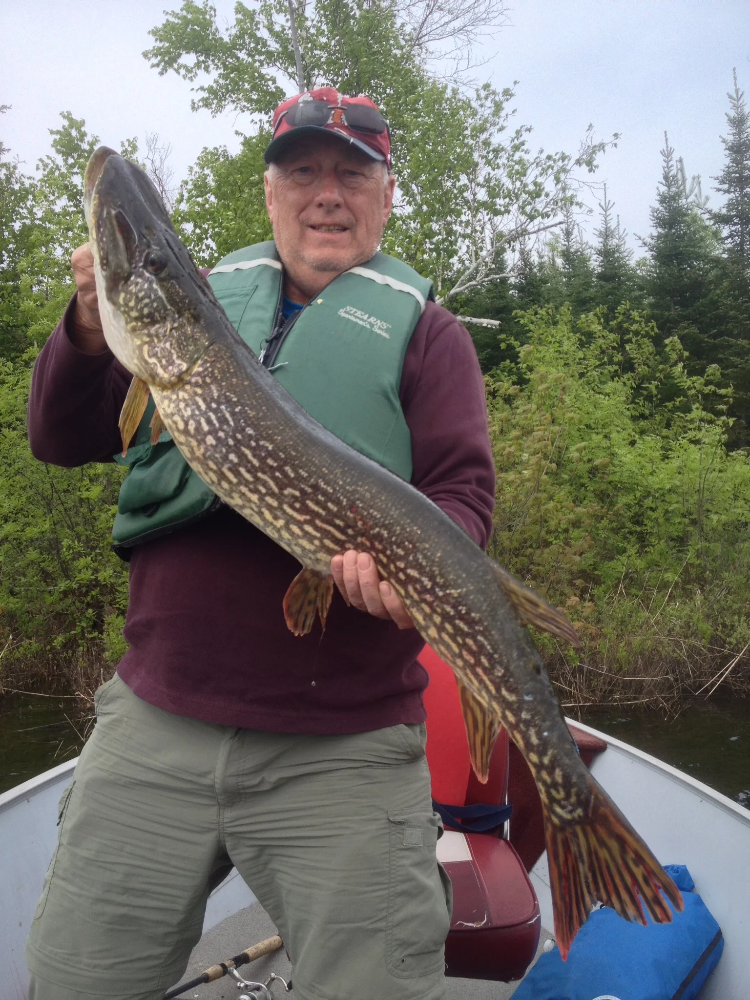 Basswood Lake pike