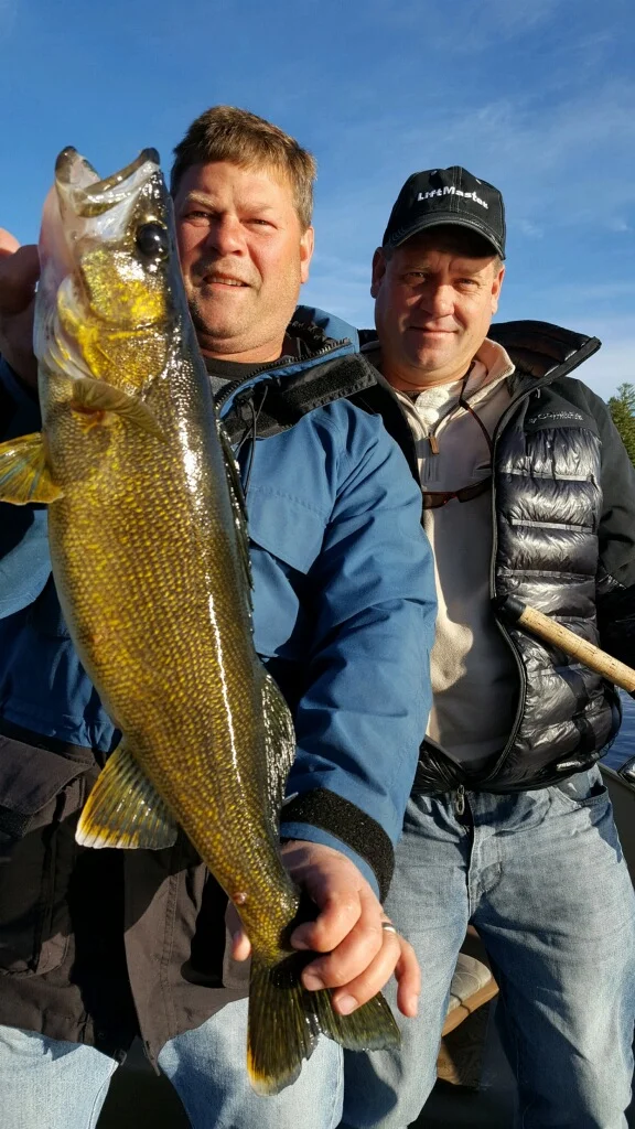 Basswood lake Walleye