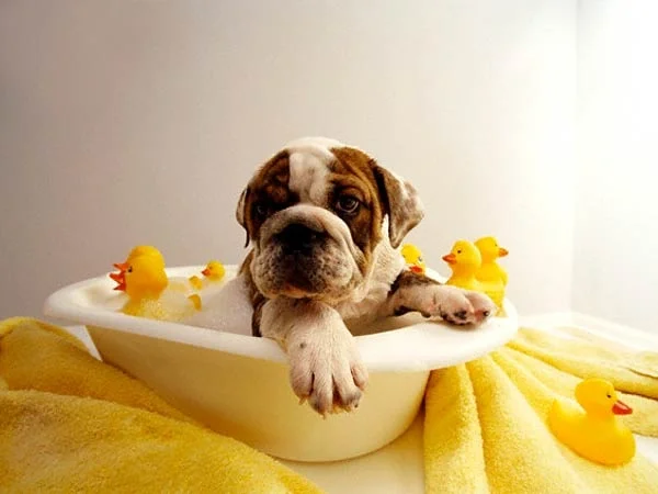 bath_blues_xw2dp.jpg