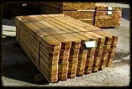 cedar fence
