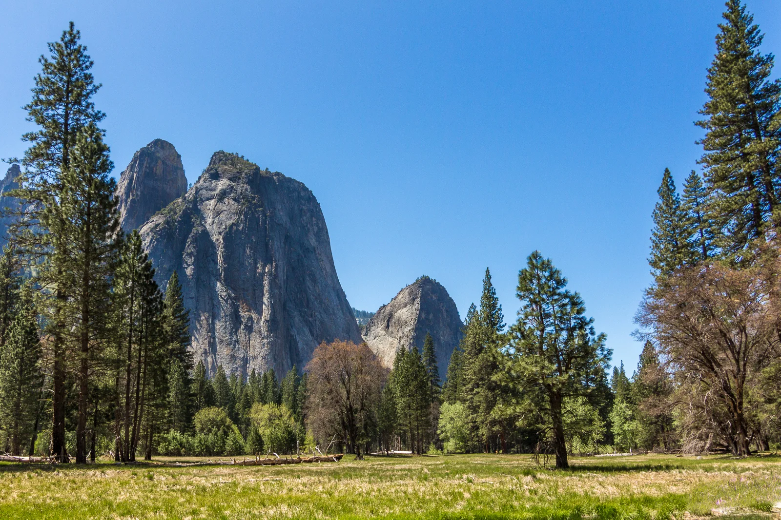 Yosemite Cathedral Rocks.jpg