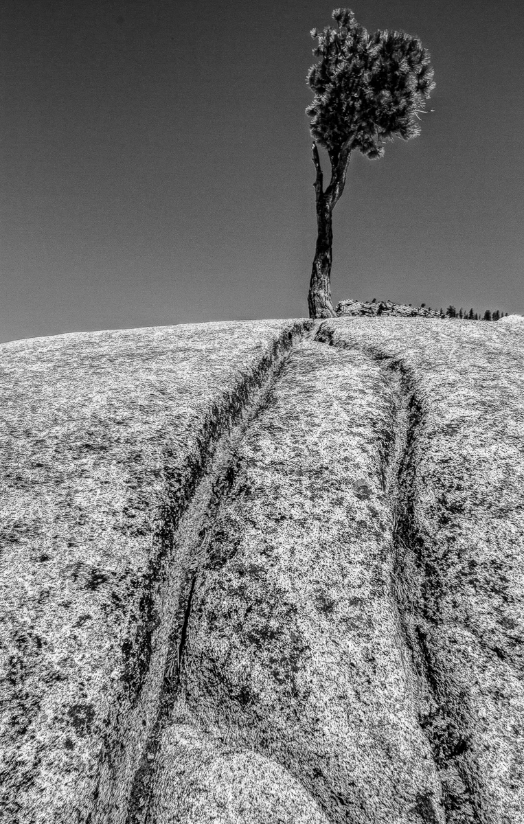 Olmert Pt, Yosemity.jpg