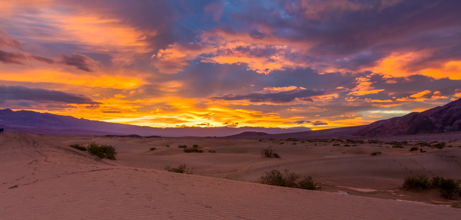 Death Valley Mesquite Flats Dawn.jpg