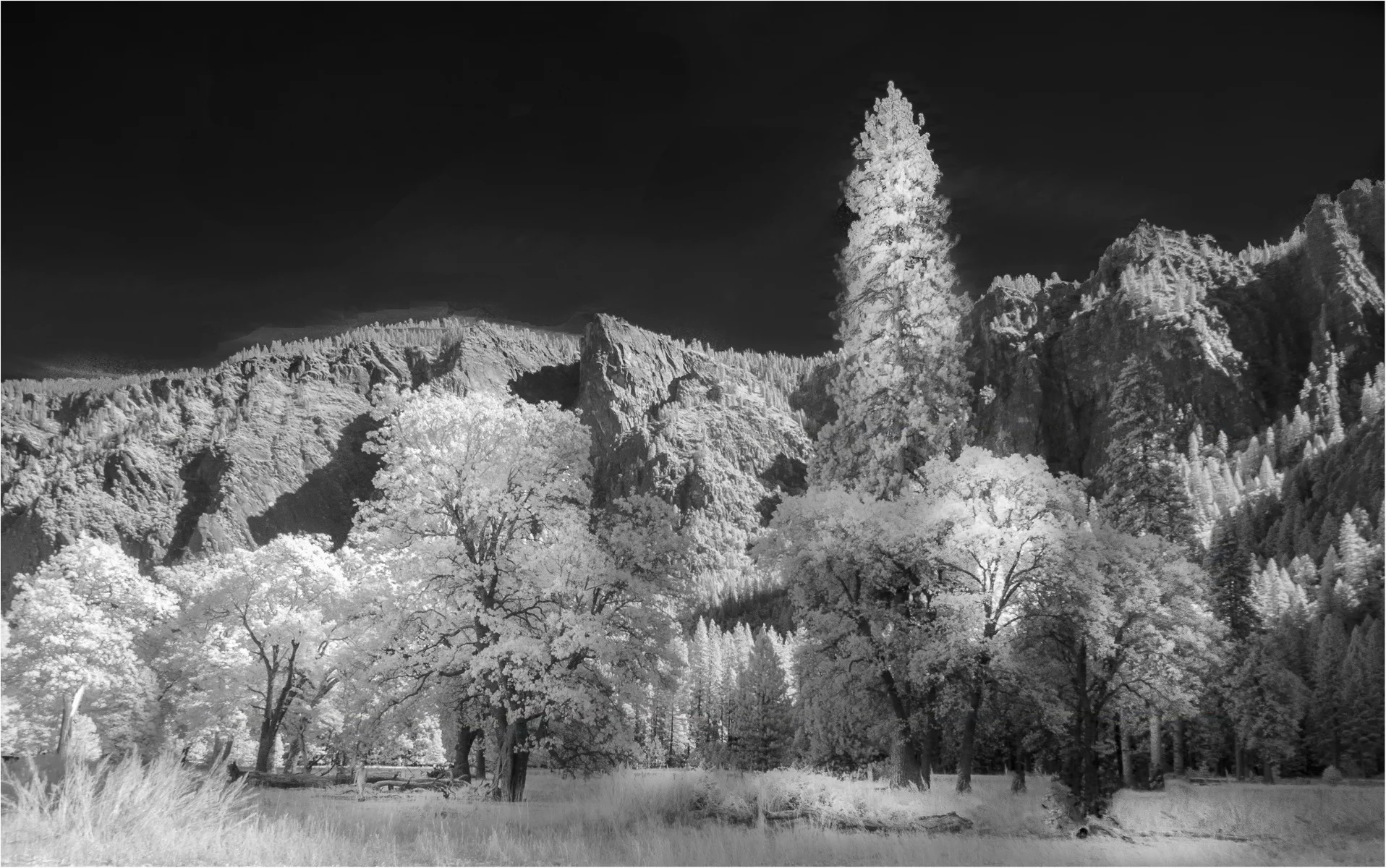 yosemite_IR-3-Edit-Edit-Edit-Edit.jpg