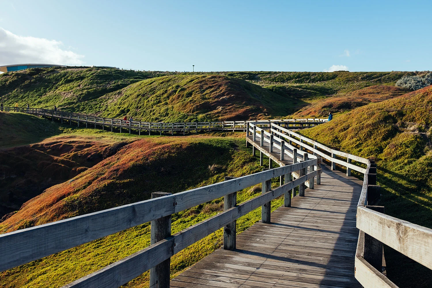 Phillip Island
