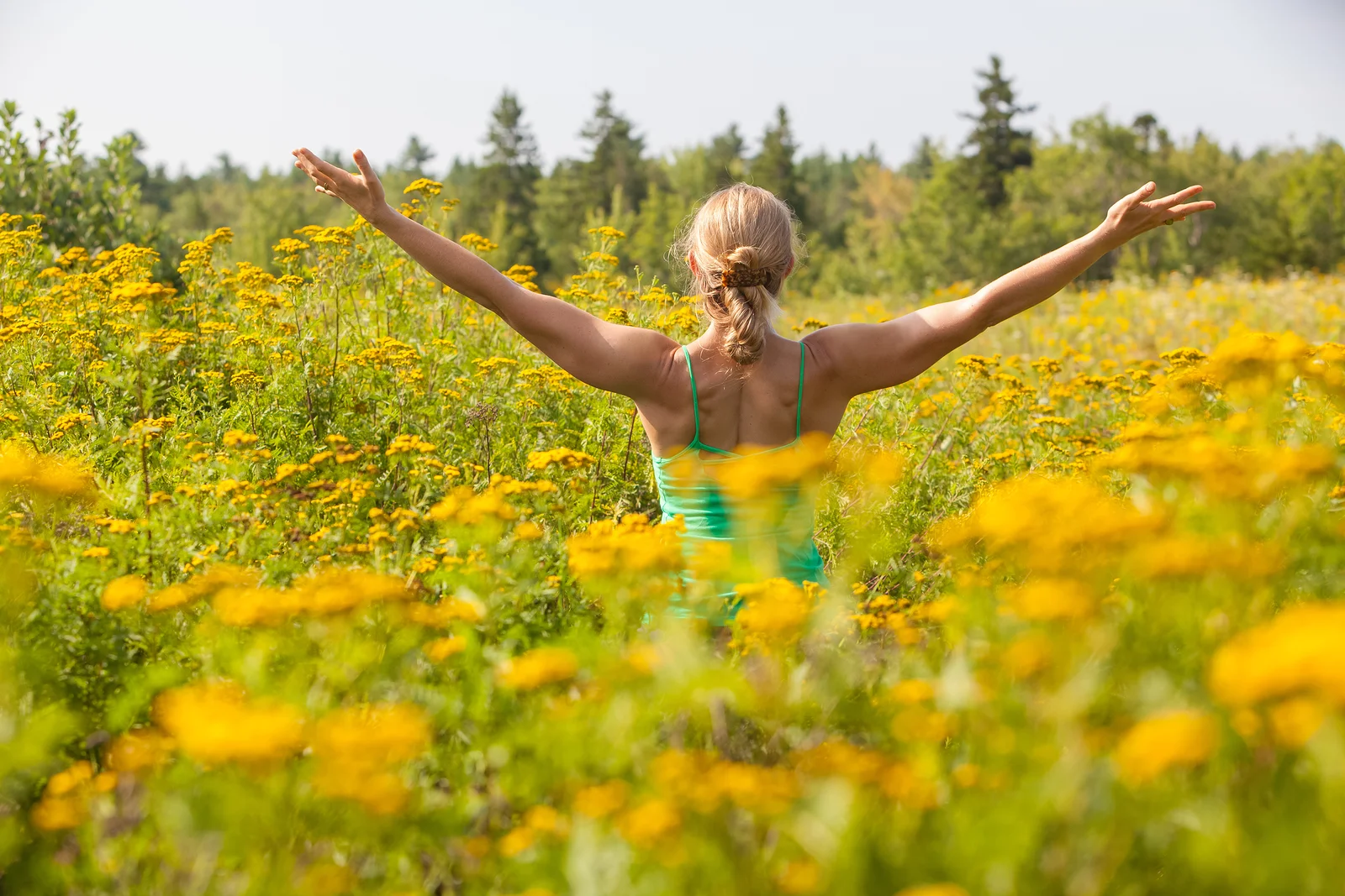bigstock-Back-Of-Woman-Practicing-Yoga--45883108.jpg