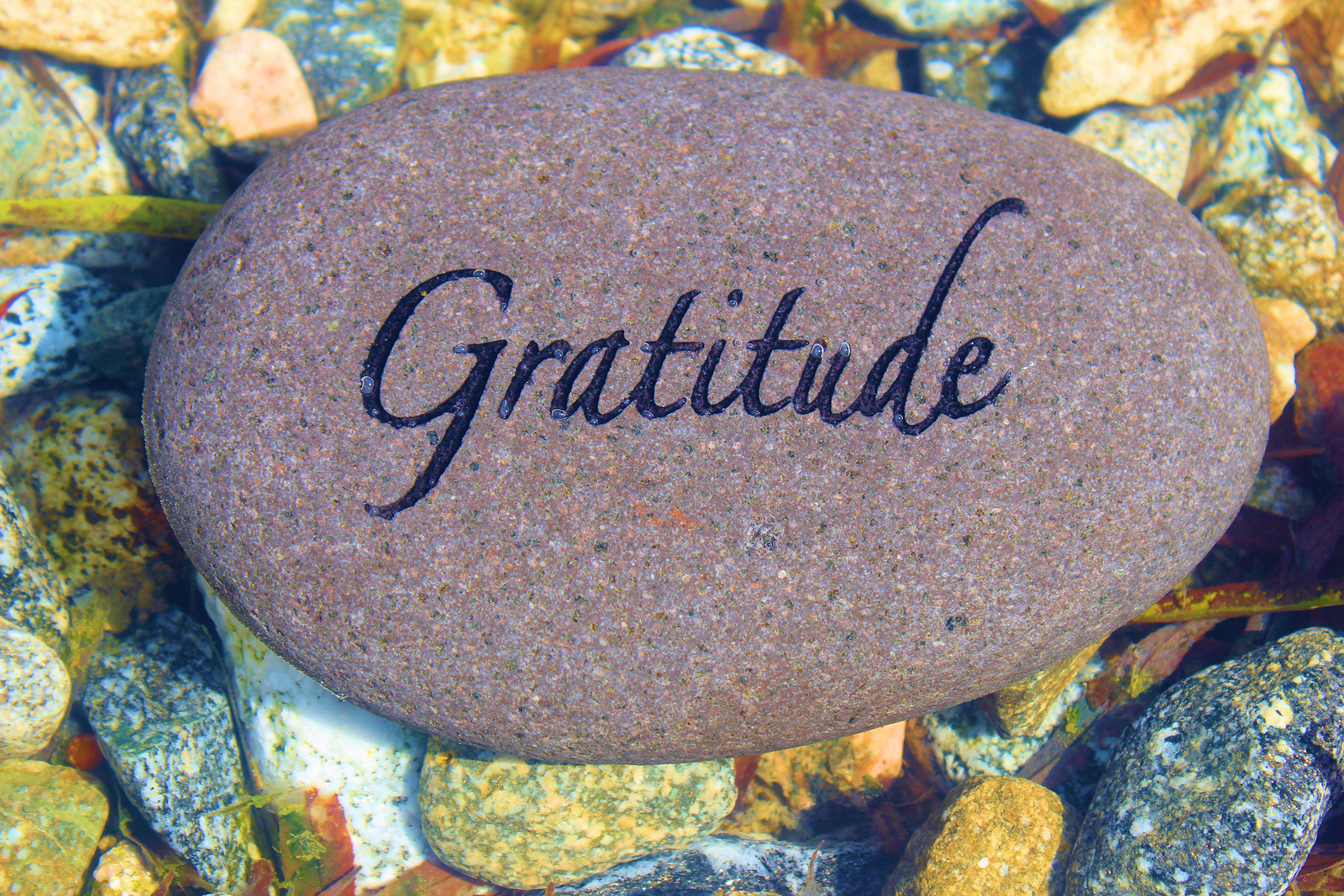Tips for a daily gratitude practice, from Writership.com