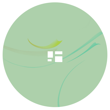 Design / Dev