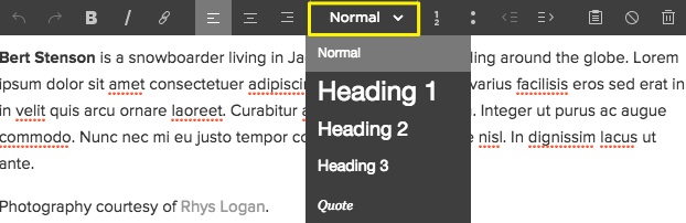 Heading & Quote Styles: depending on your template's design, the various styles listed may change the text's font, size, weight, line-height, and/or color.