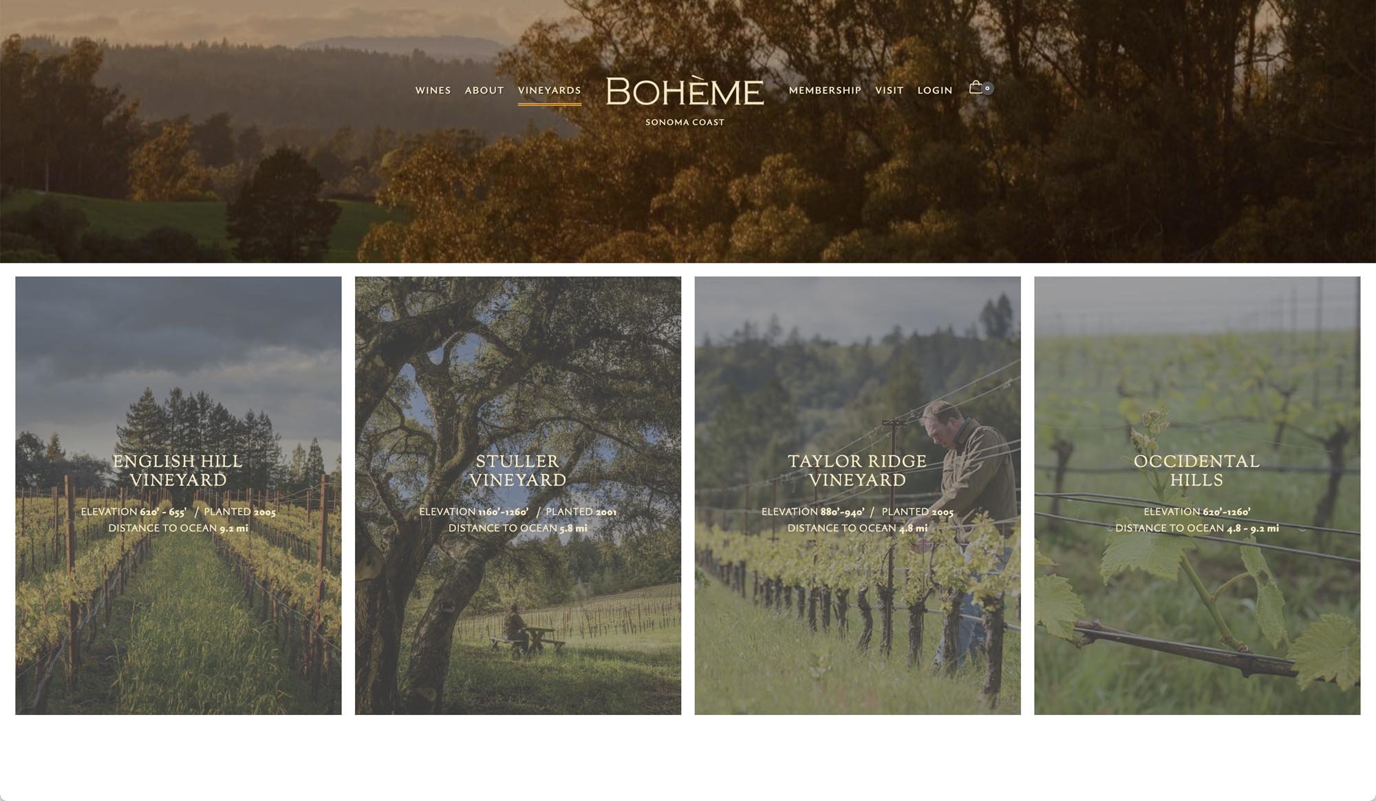 Bohème Wines  ➔