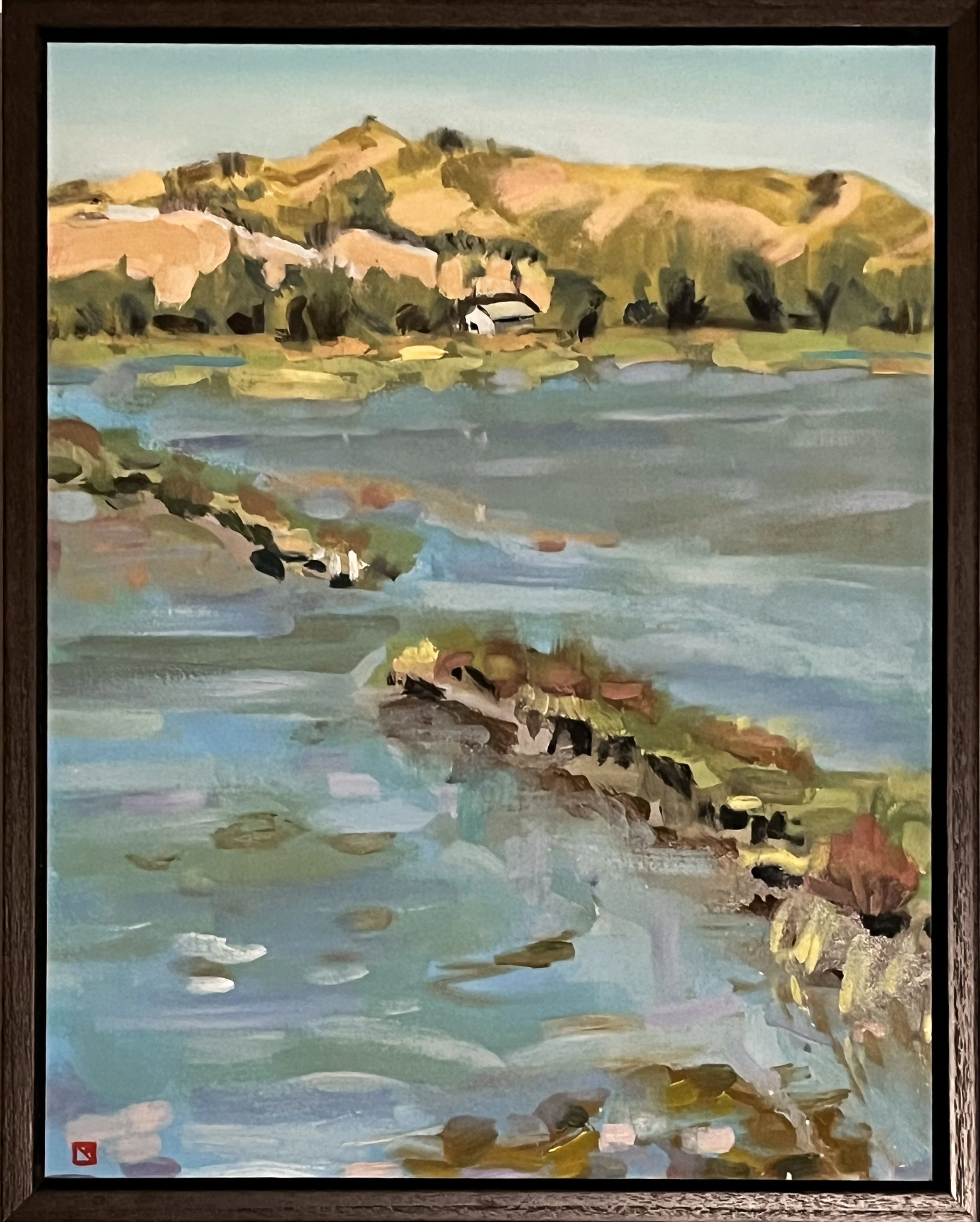 Novato-Weir-framed.jpg