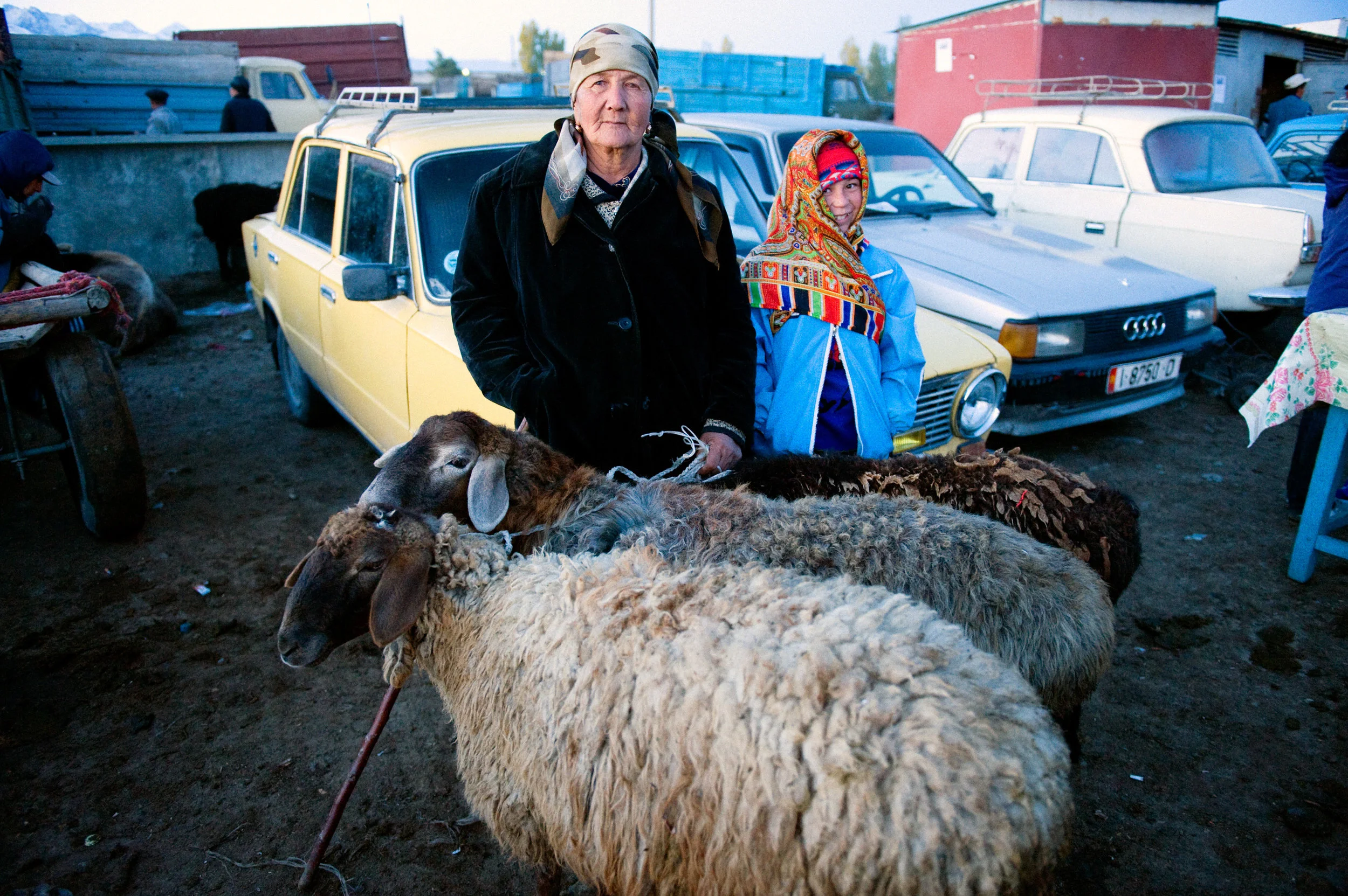 Livestock Merchant - Karakol, Kyrgyzstan