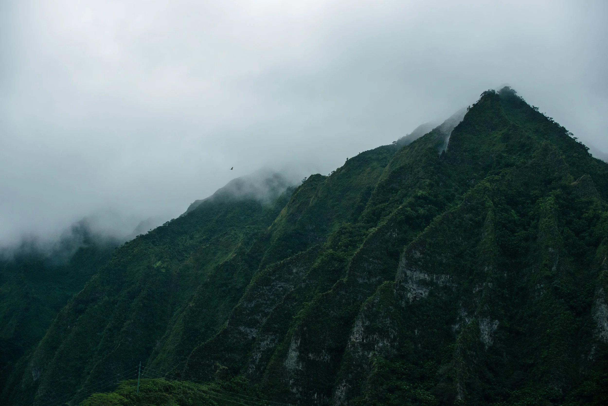 PolerStuff_Nike_Hawaii-5339.jpg