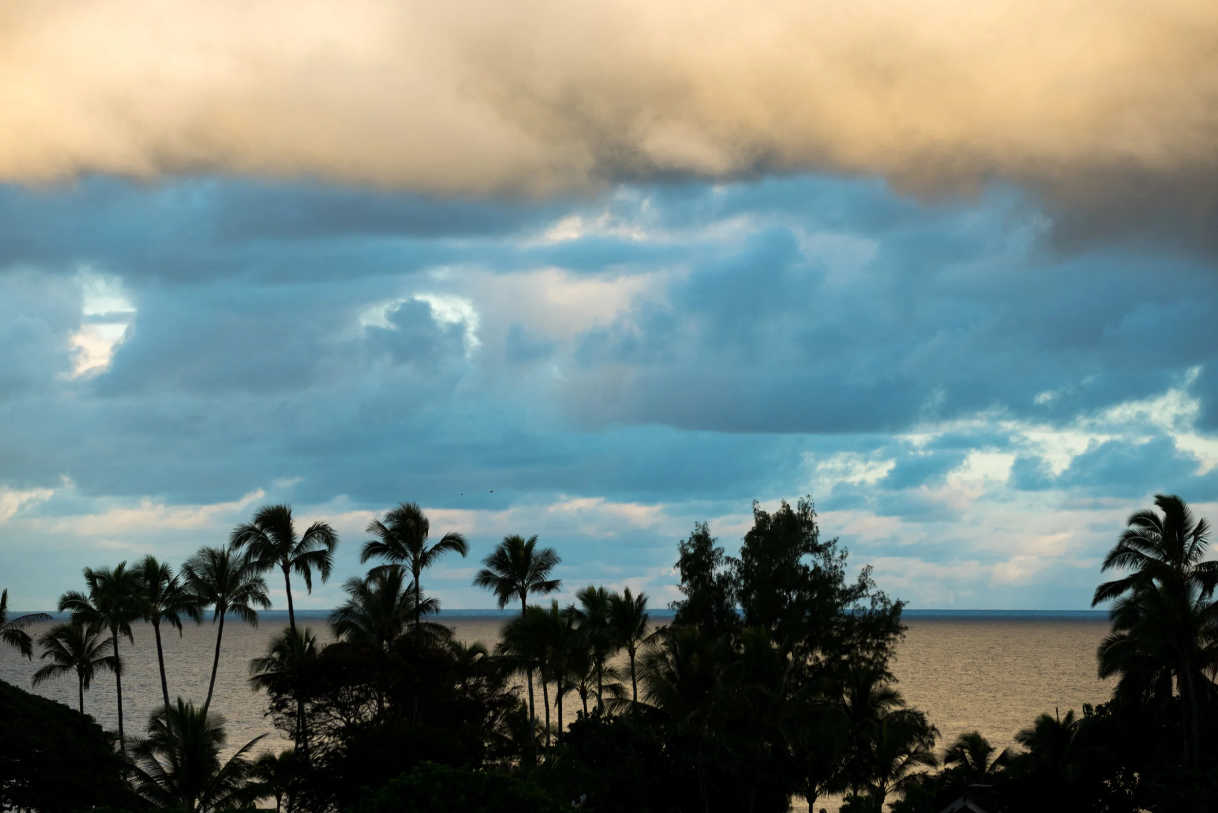 PolerStuff_Nike_Hawaii-6035.jpg