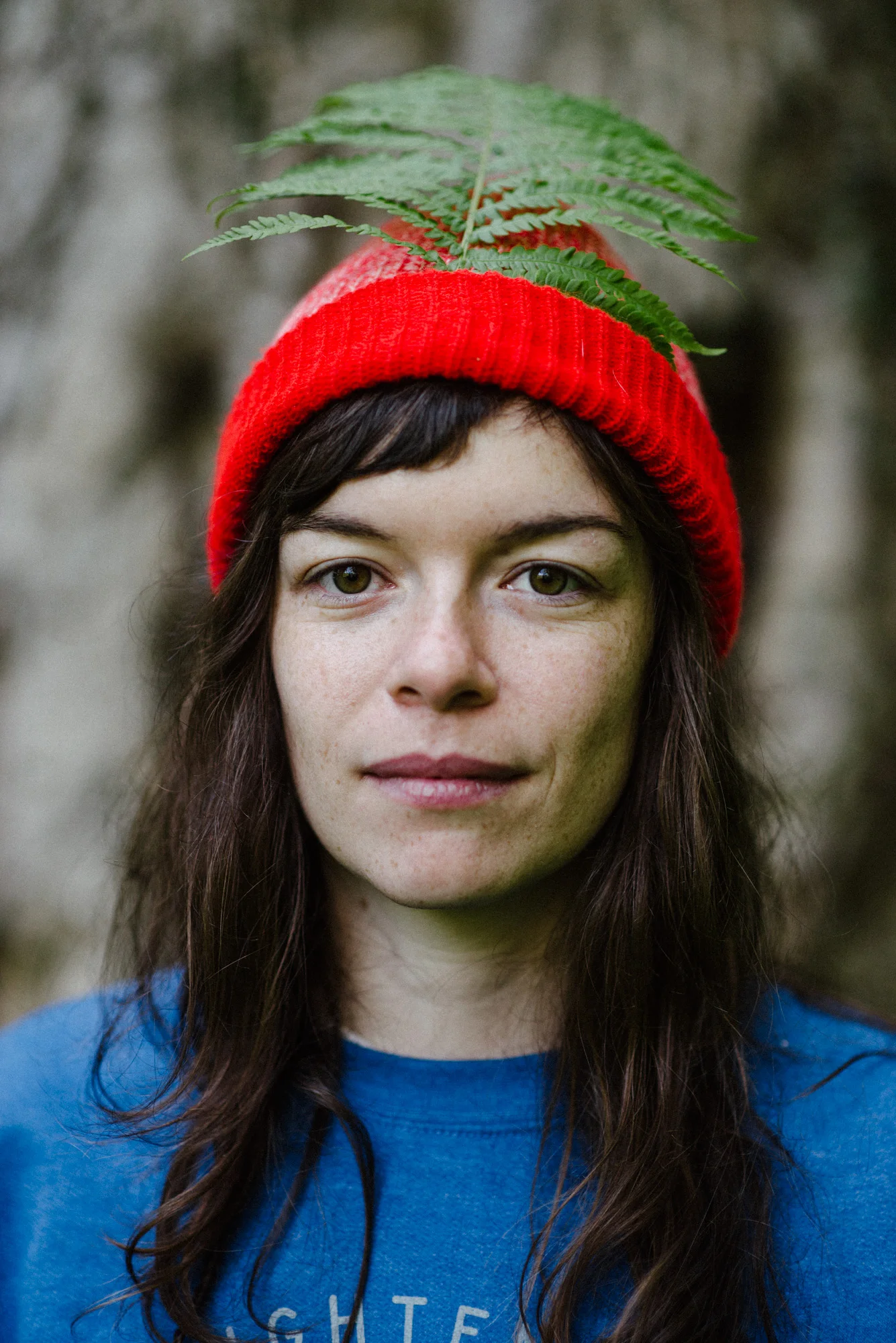 Mehring-10.jpg