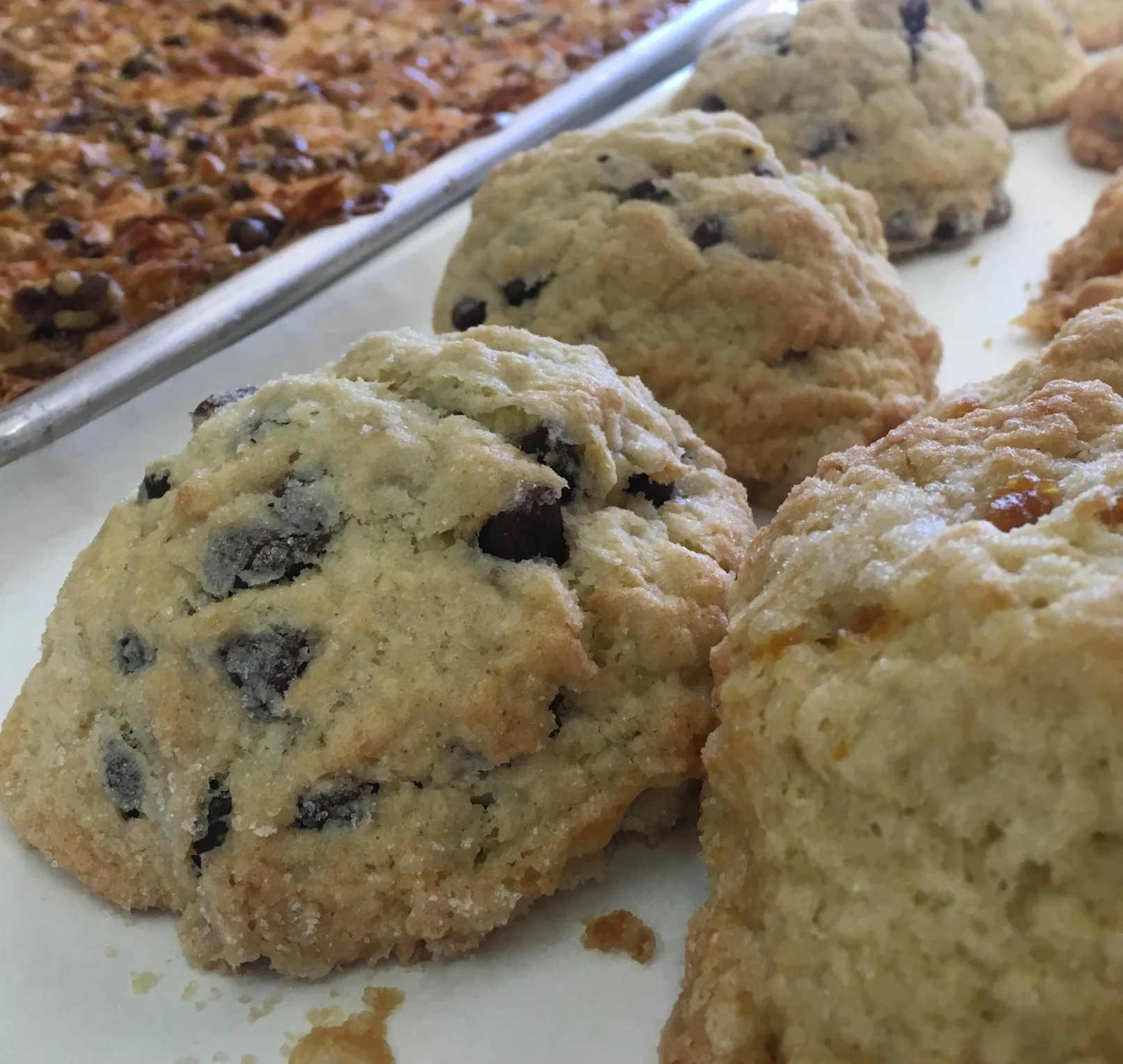 Citrus Chocolate Chip