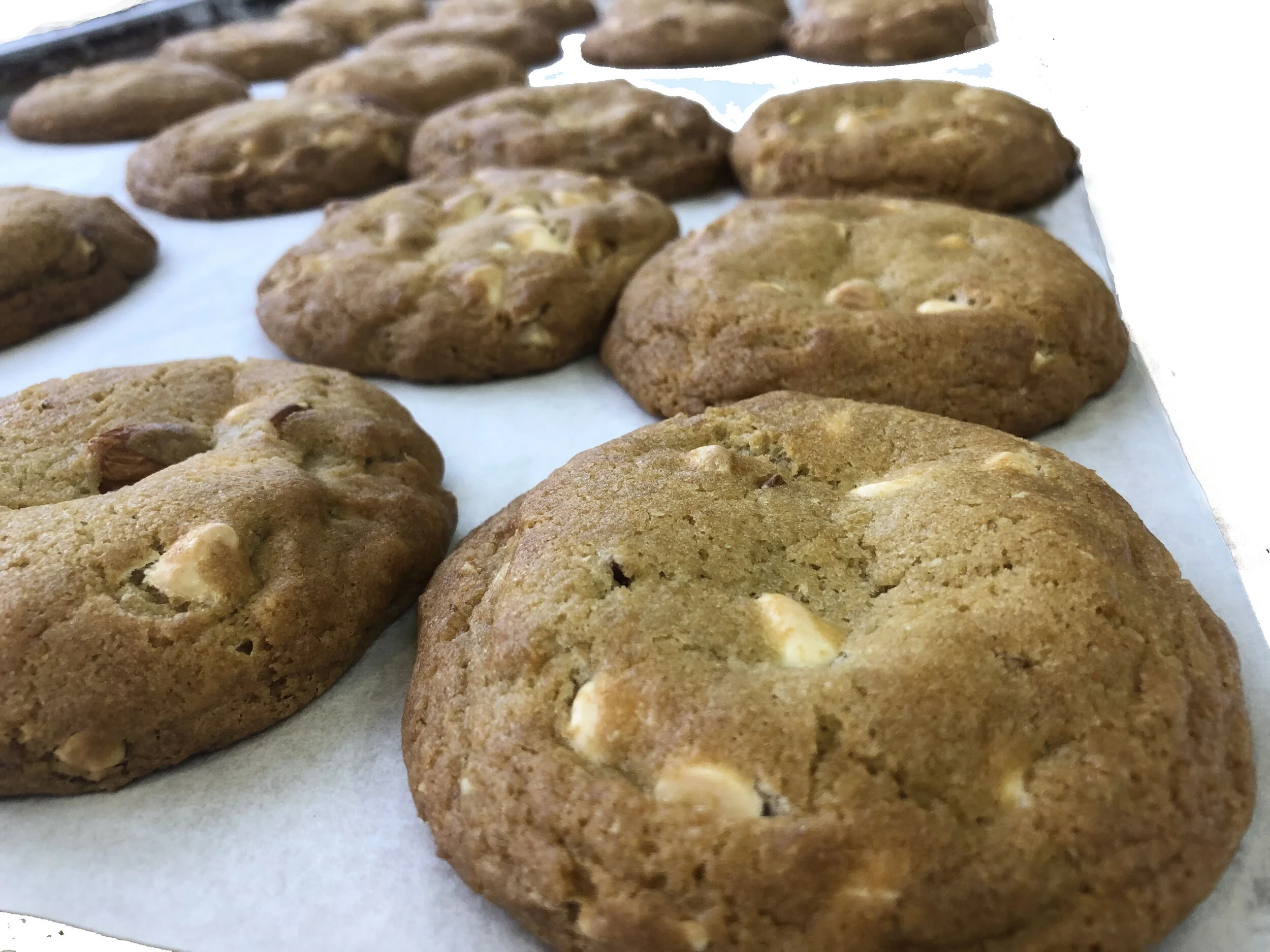 White Choc. Macadamia Nut