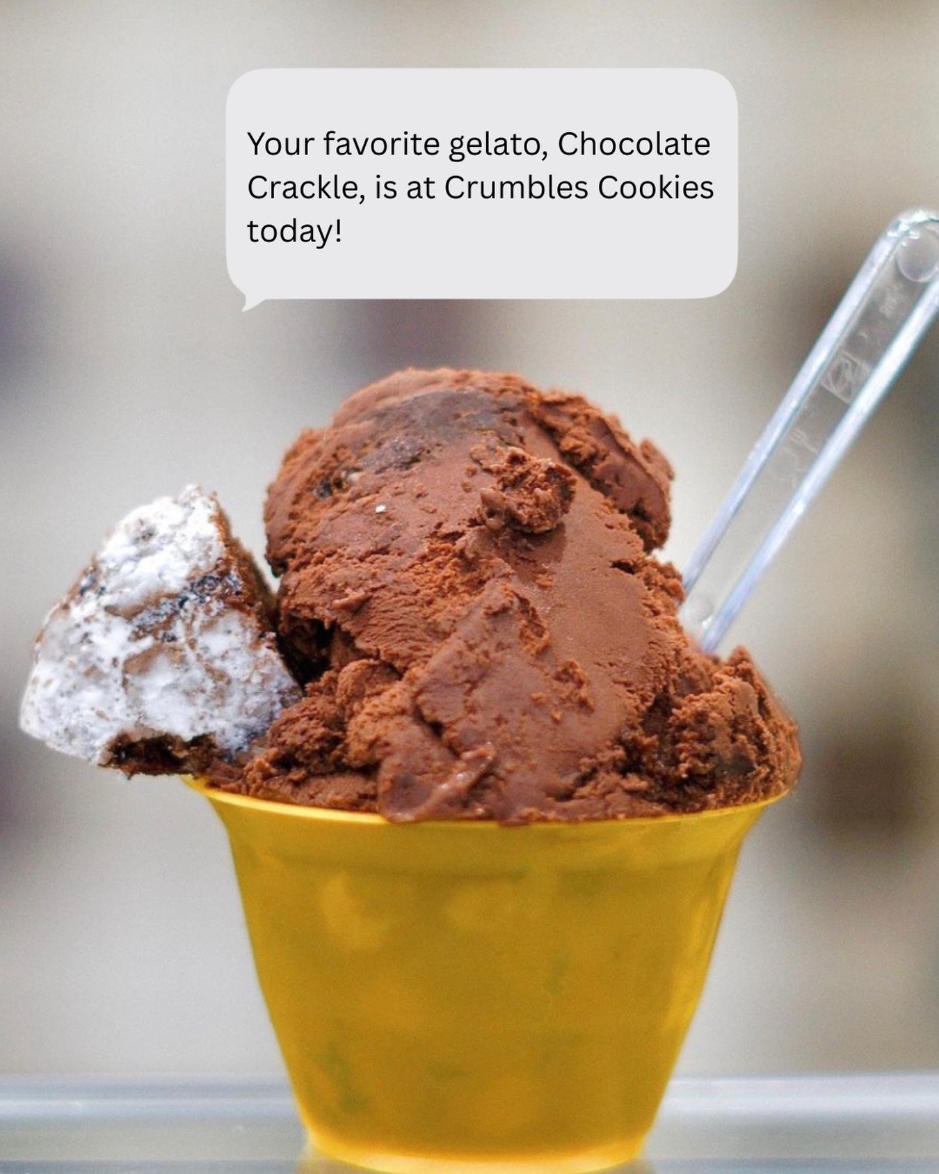Never miss out on your favorite flavor again! Now you can get a text message every time your favorites are in store - whether that&rsquo;s one flavor, or ten! 

You can click the link in our bio and go to the &ldquo;Gelato&rdquo; page to sign up now!