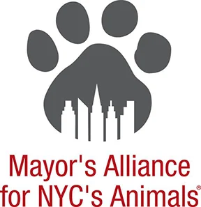 mayors alliance NYC animals jpeg small.jpg
