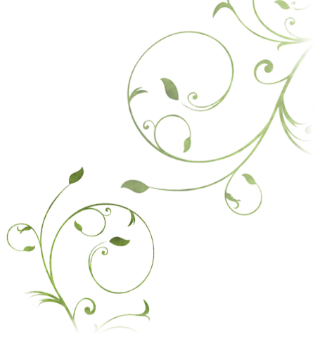 vines.png