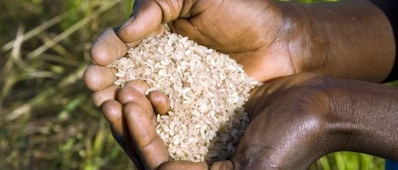 How can nations hit by Ebola avoid food security crises?