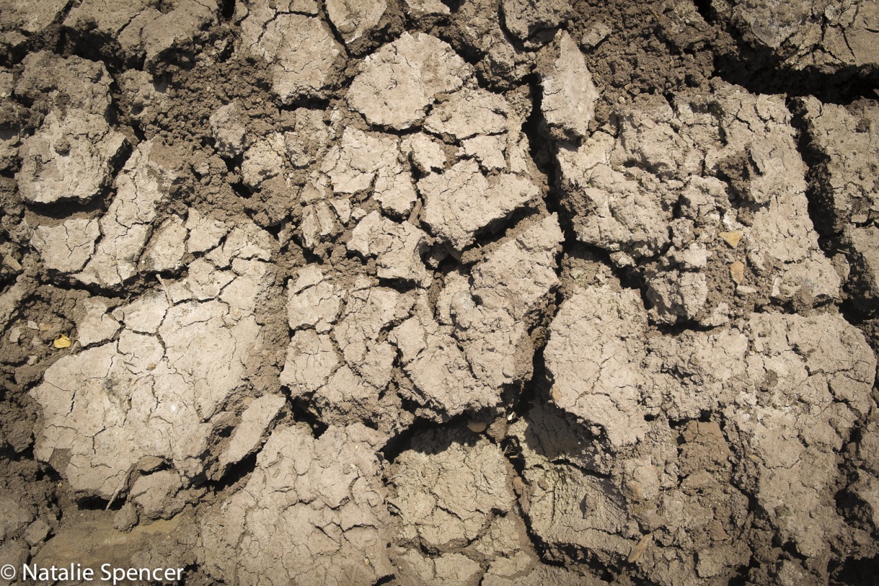      

 
    The Turkana Population depends on the same water table as the 150,000 strong, Kakuma Refugee Camp. Navvi.com (organizations pilot) will explore the&nbsp;microcosm as a platform for larger place-based dialog.  
 






















   