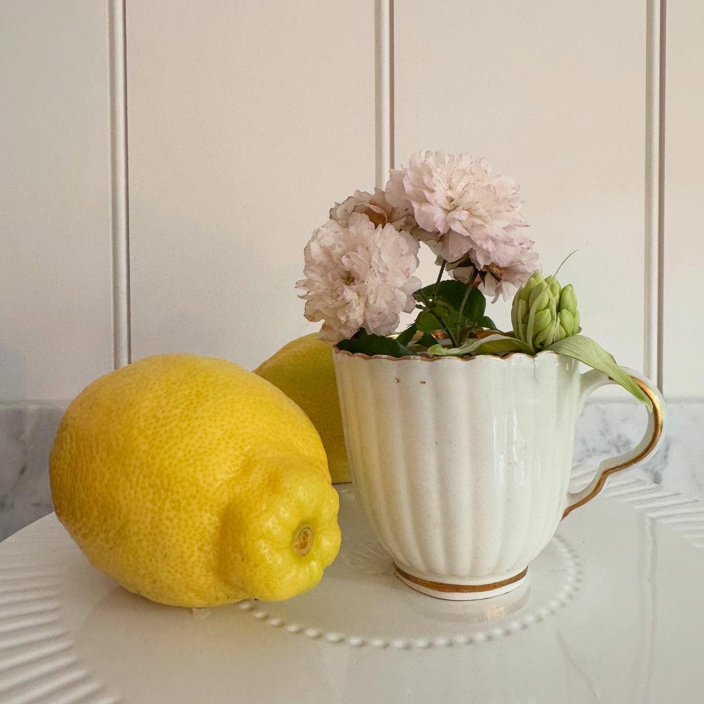 A little still life for a Saturday morning