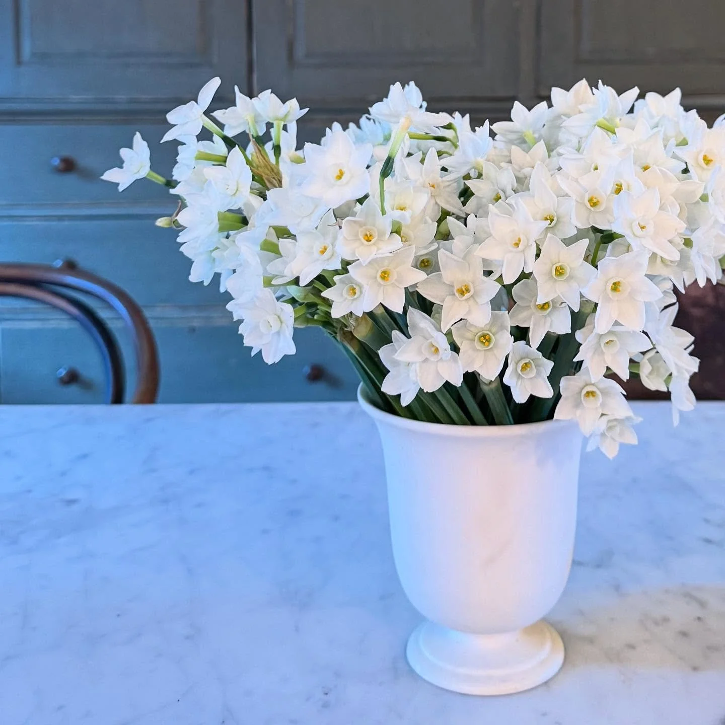 Mid winter 🤍

@moro_dabron