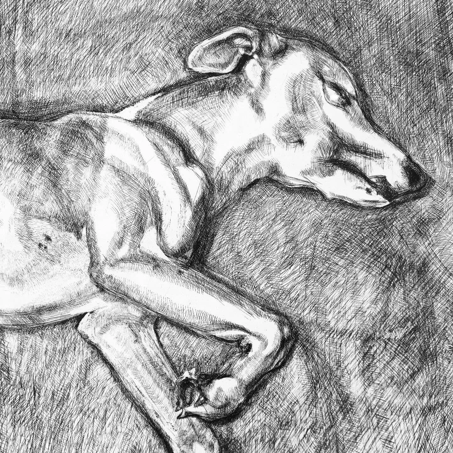 Lucien Freud @nationalportraitgallery