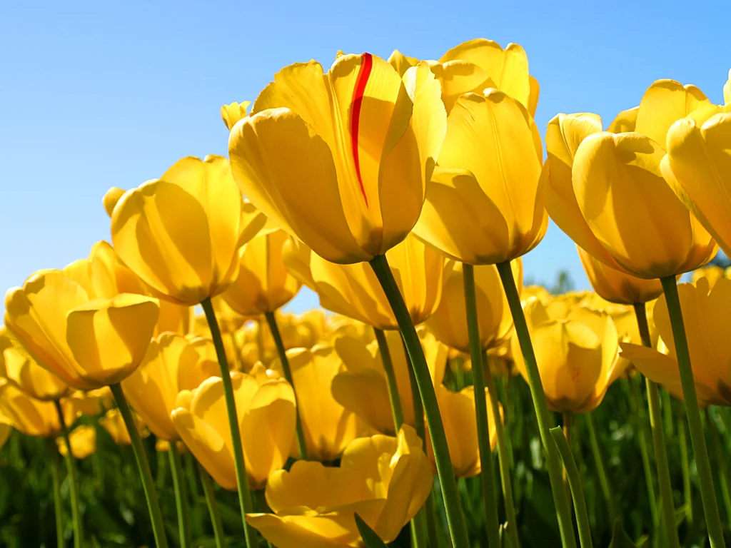 test 3