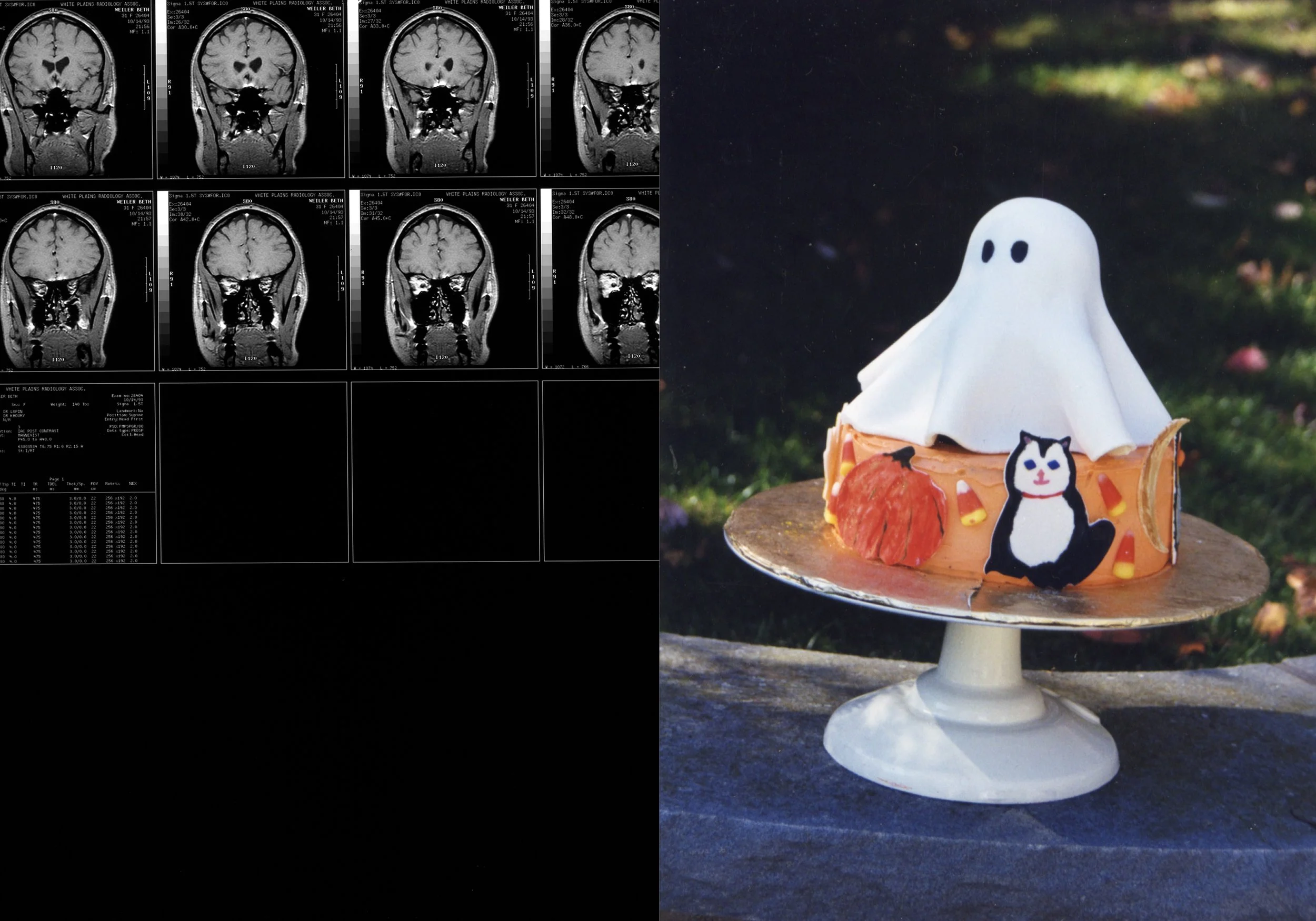 Cake MRI Book10.jpg