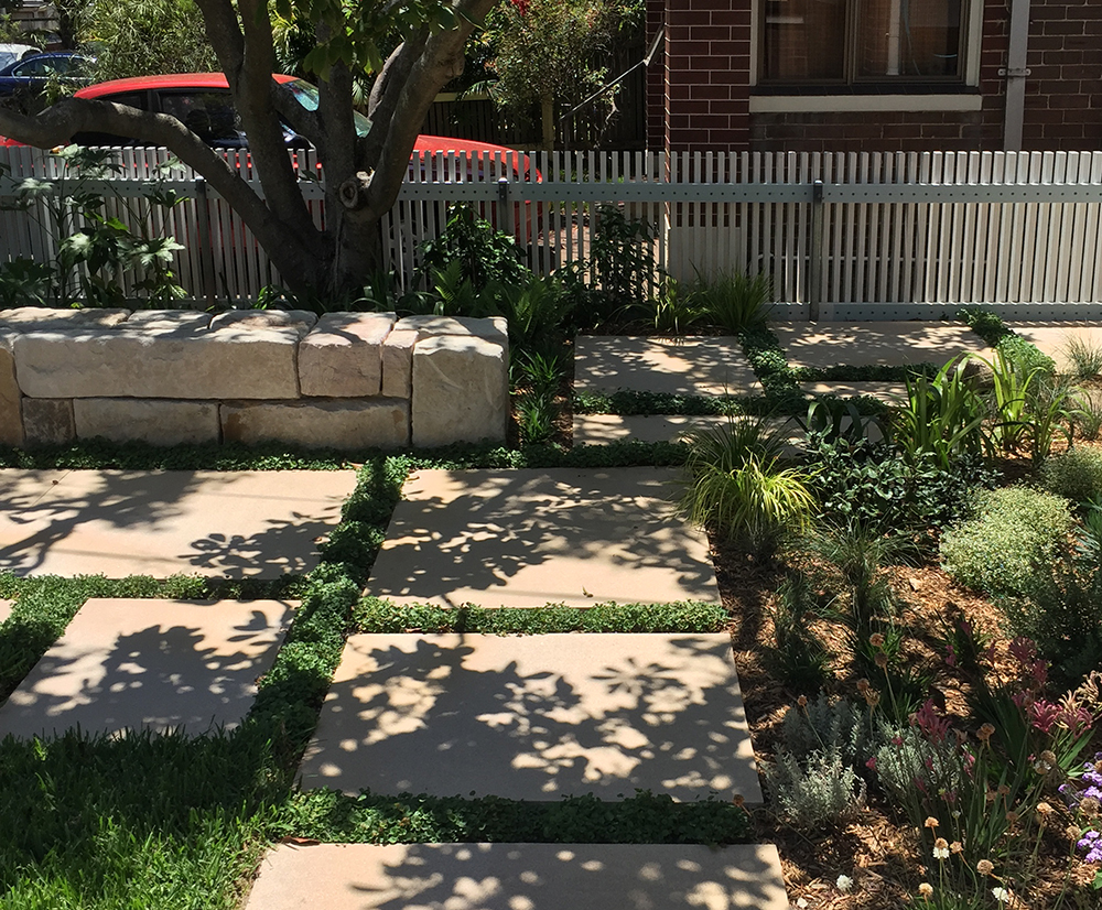 Our latest residential project in Rodd Point is complete, with landscaping designed by Melissa Wilson installed just before Xmas. We are finalising furniture selections and interior decoration and we are hoping to photograph the project later in the year.