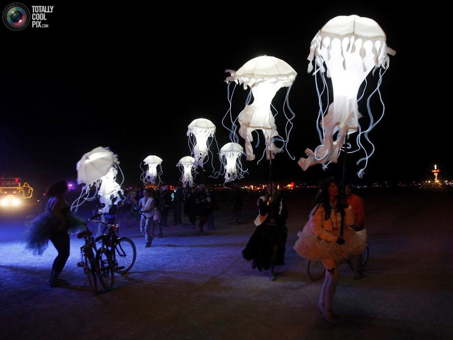 Billion Jelly Bloom In-Person Jellyfish Performances