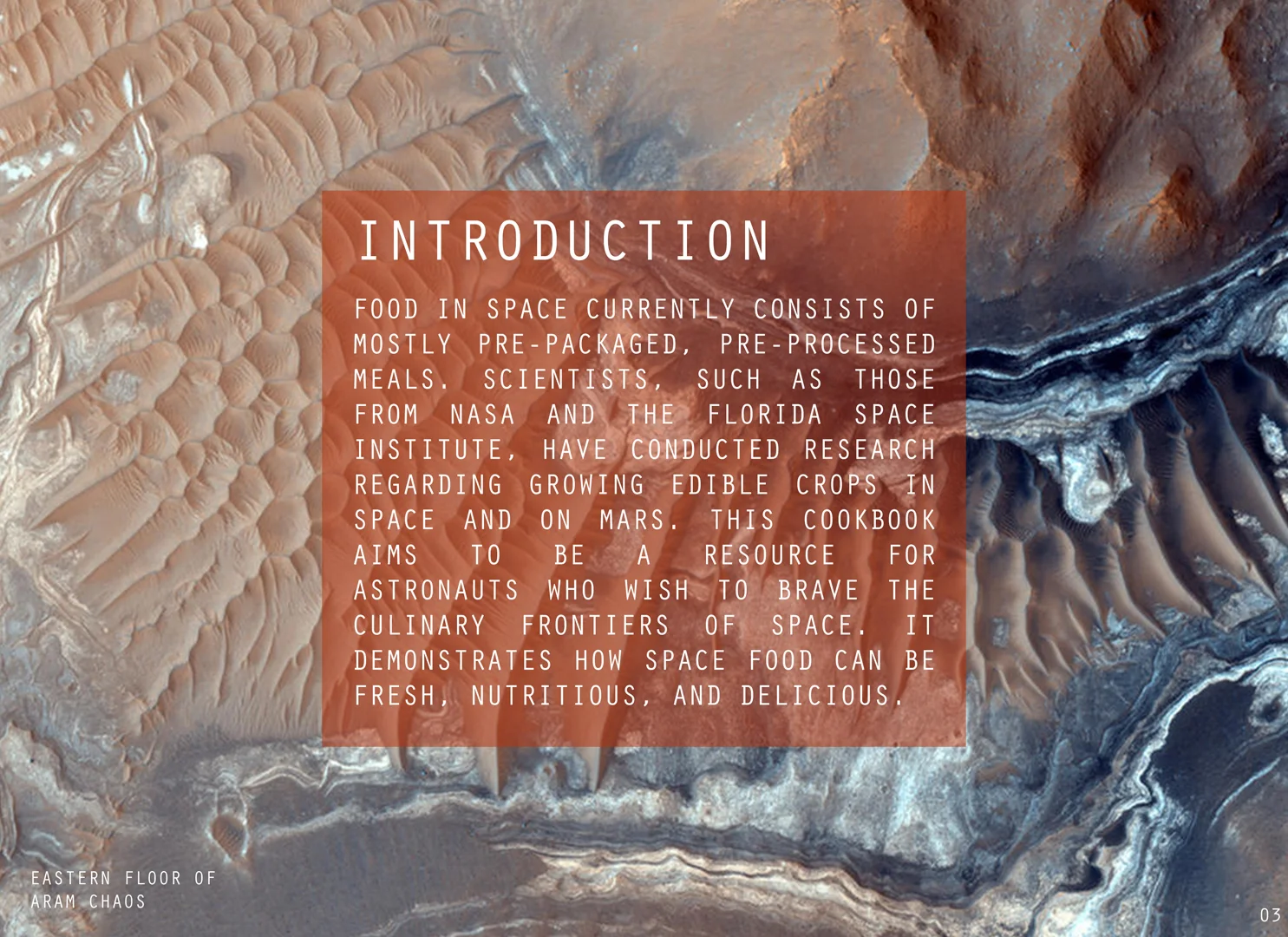 03 - Introduction.jpg