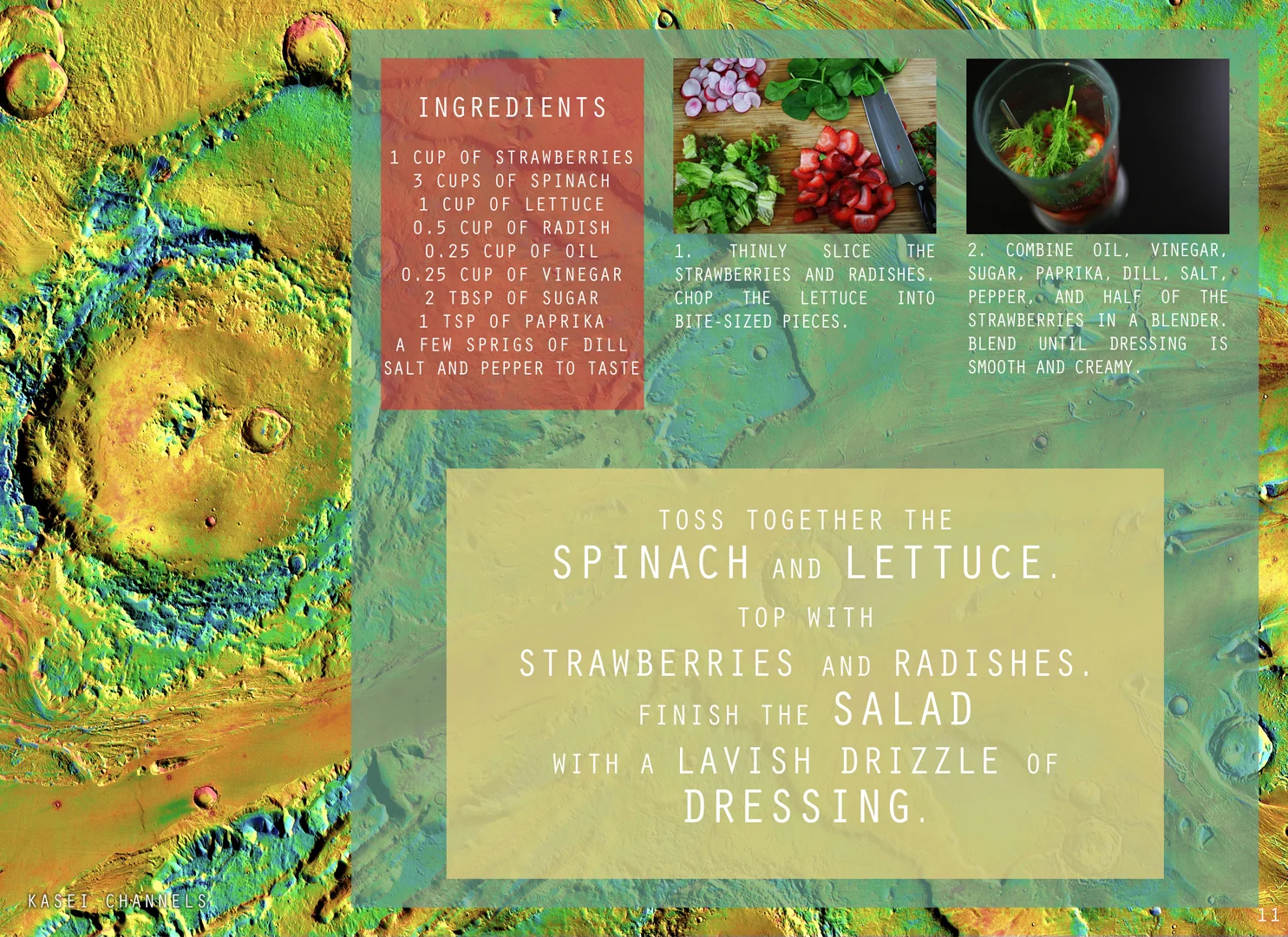 11 - StrawberrySpinach02.jpg